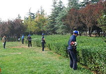 <b>绿化工的就业前景怎么样？</b>